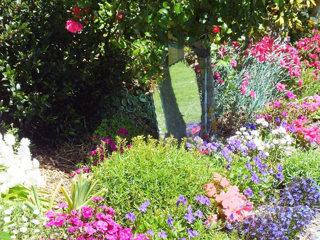 Bed and Breakfast Austin Heights - Kaikoura Zewnętrze zdjęcie
